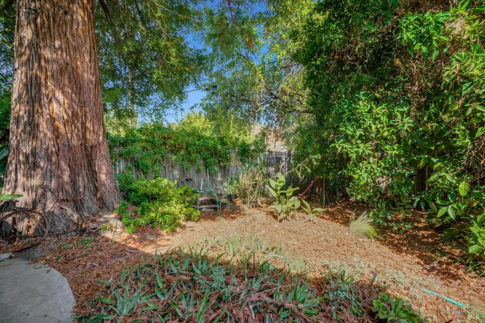 298 Markham Avenue Vacaville, CA 95688