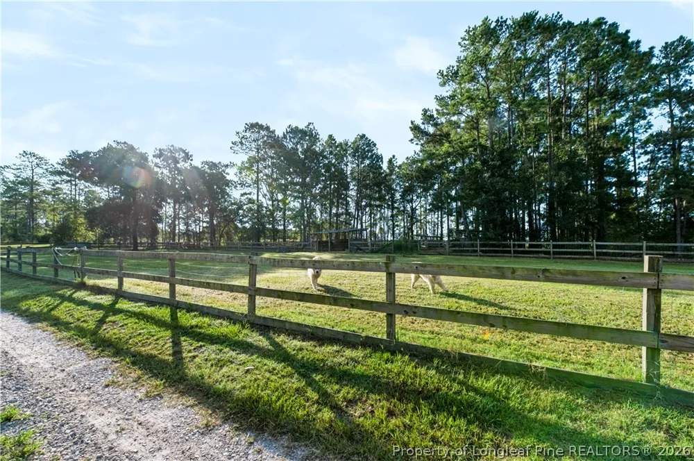332 Docs Road Lillington, NC 27546