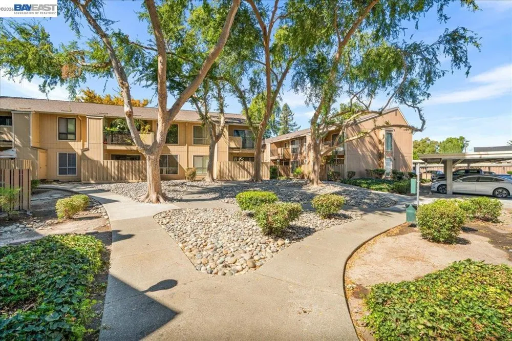9025 Alcosta Blvd #259 San Ramon, CA 94583