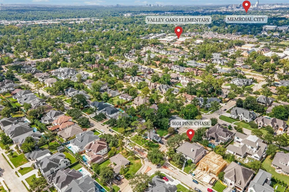 1601 Pine Chase Drive Houston, TX 77055