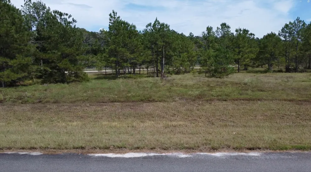 Bambi Court Cleveland, TX 77328