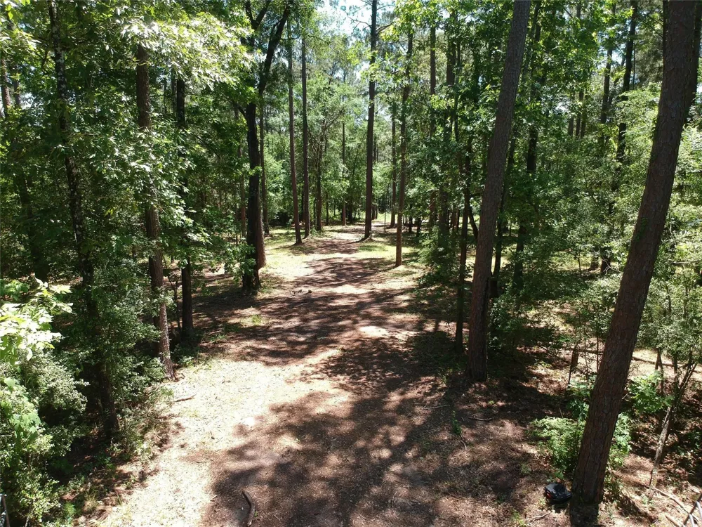 5183 Felix Currie Road Point Blank, TX 77364