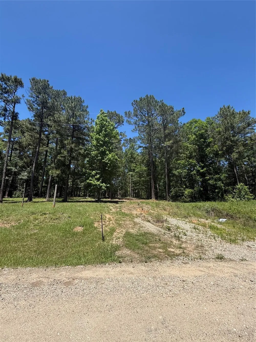 5183 Felix Currie Road Point Blank, TX 77364