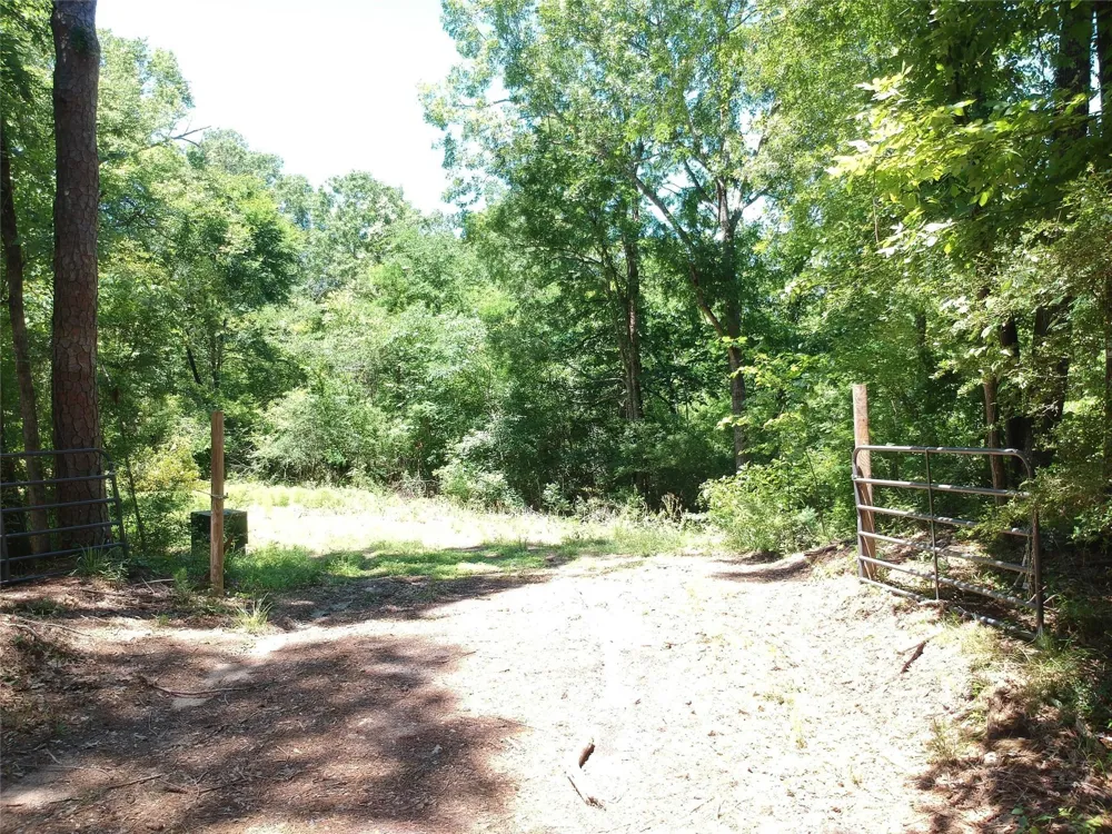 5183 Felix Currie Road Point Blank, TX 77364