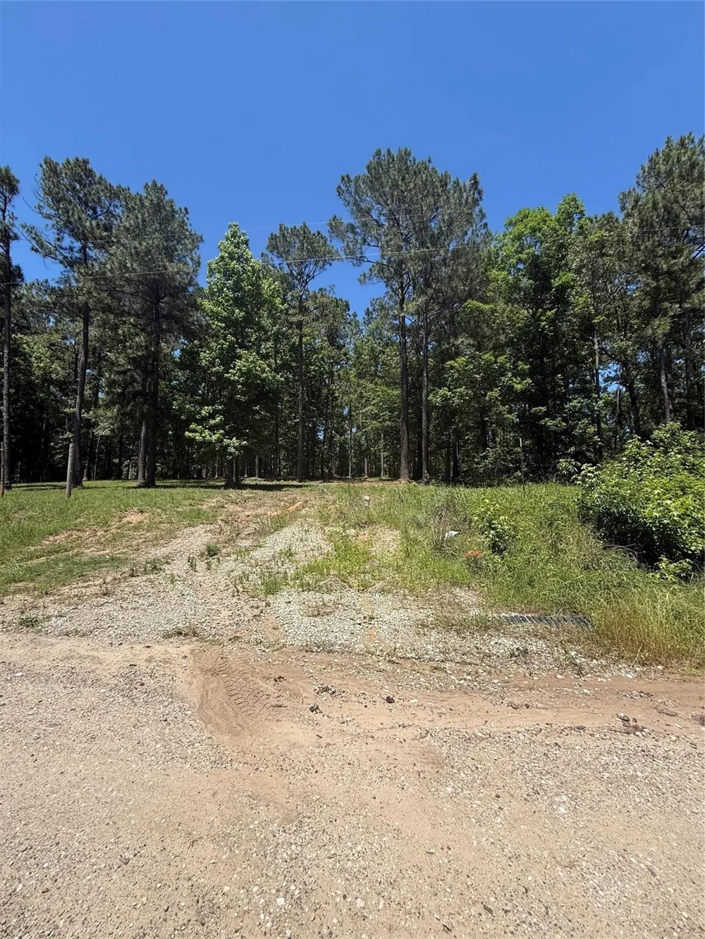 5183 Felix Currie Road Point Blank, TX 77364