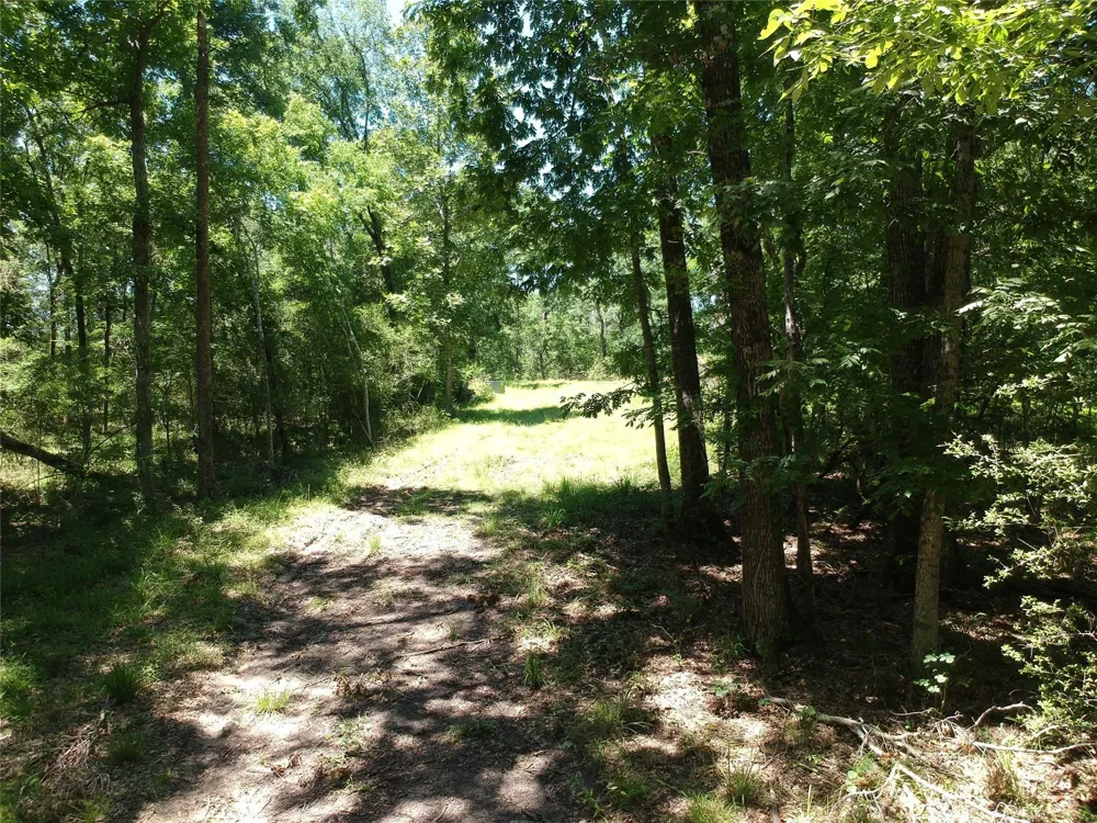 5183 Felix Currie Road Point Blank, TX 77364