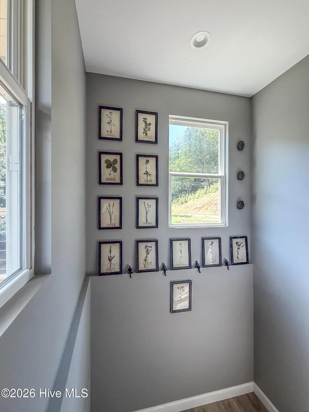 280 Wild Berry Lane Hayesville, NC 28904