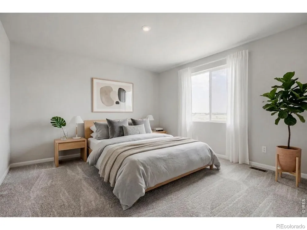 659 Noola Street Windsor, CO 80550