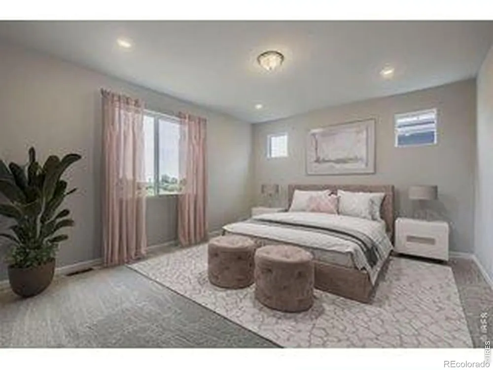 659 Noola Street Windsor, CO 80550