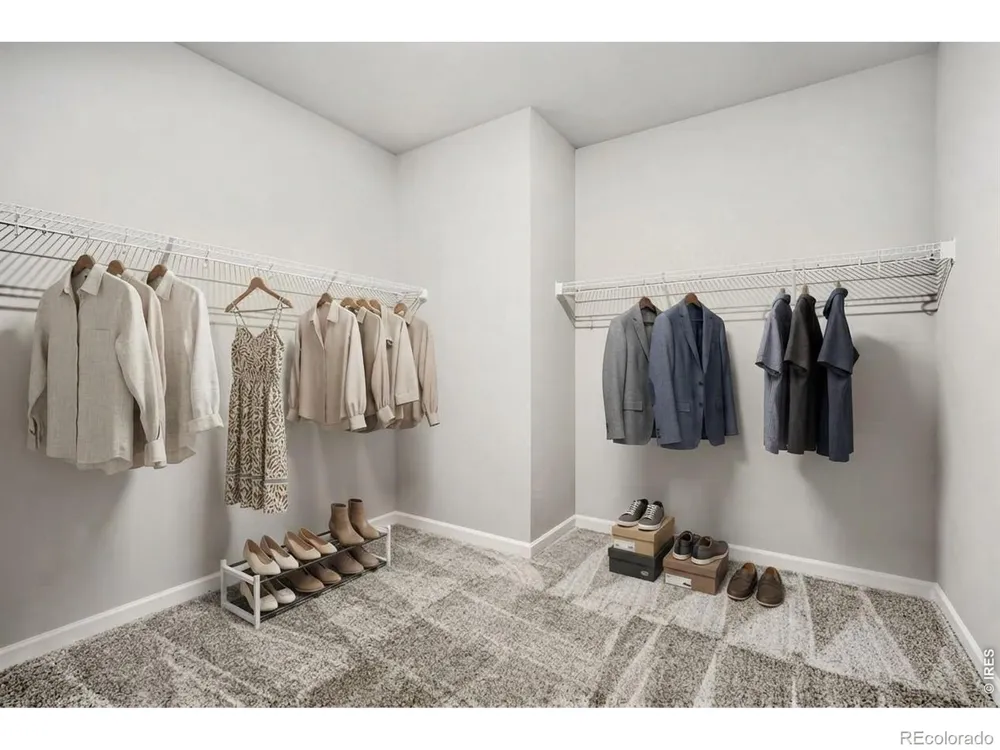 659 Noola Street Windsor, CO 80550