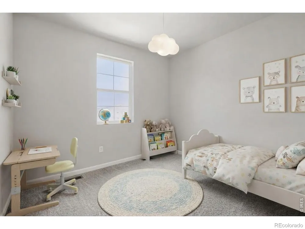 659 Noola Street Windsor, CO 80550