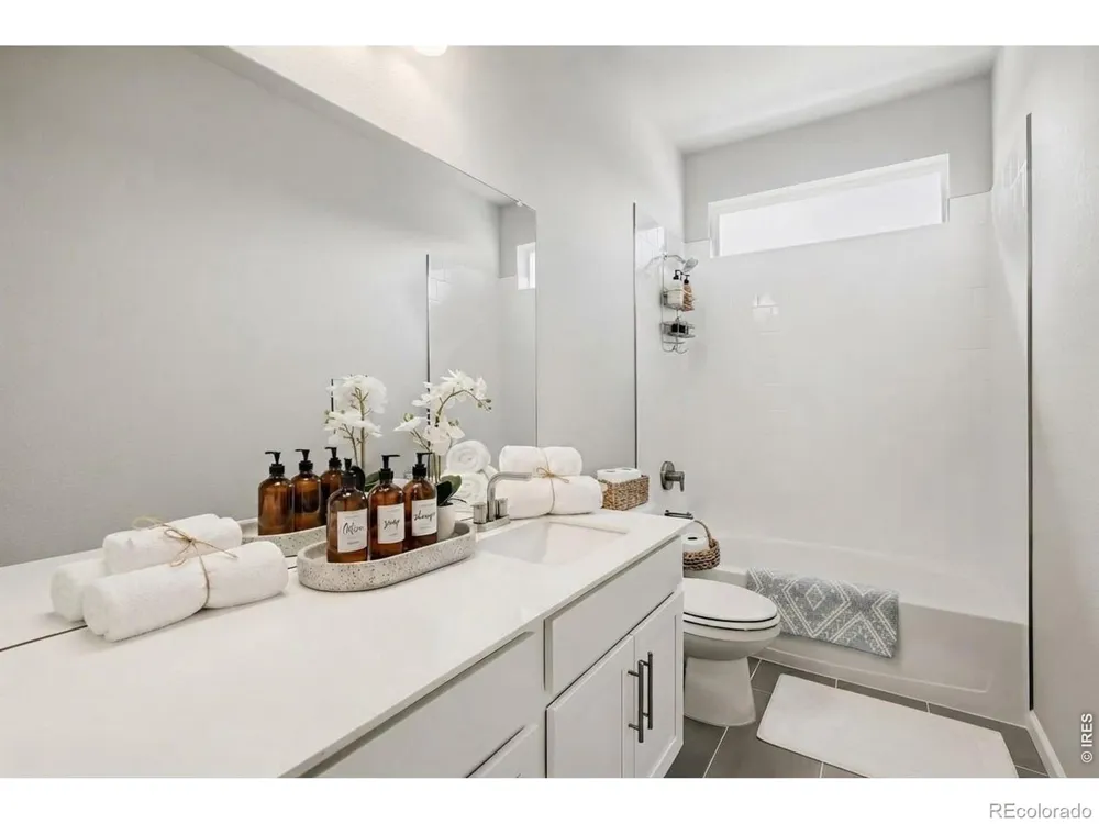 659 Noola Street Windsor, CO 80550