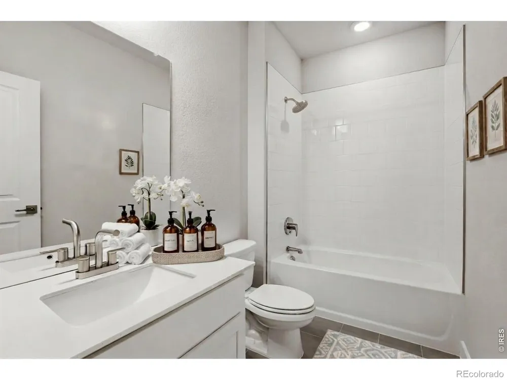 659 Noola Street Windsor, CO 80550