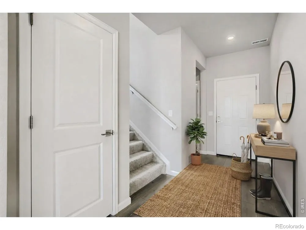 659 Noola Street Windsor, CO 80550