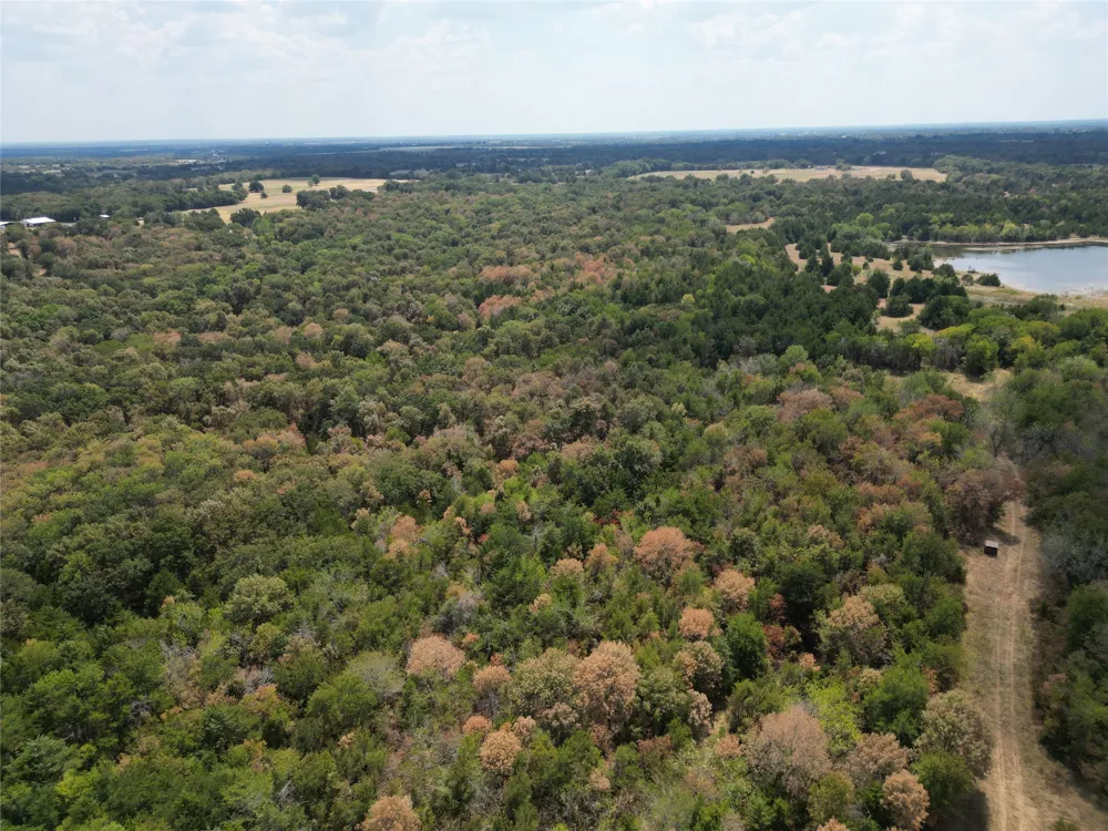 85 County Road 1019 Celeste, TX 75423