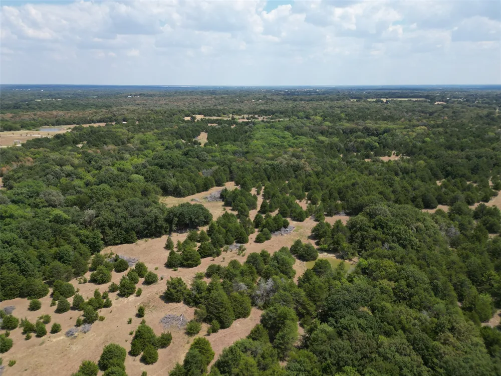 85 County Road 1019 Celeste, TX 75423