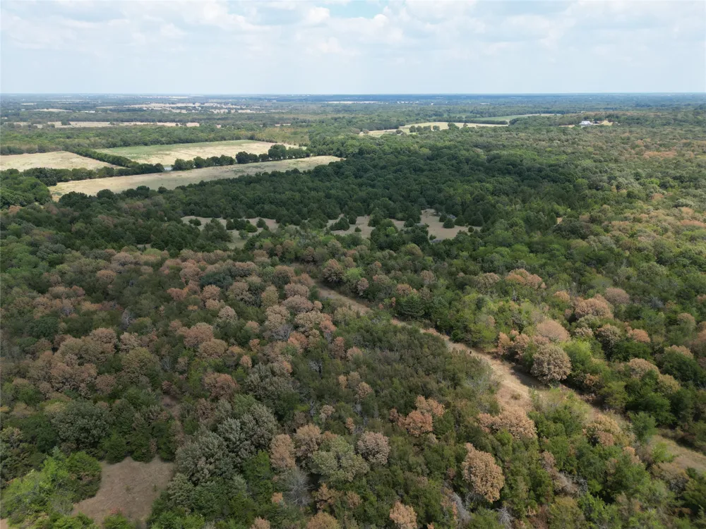 85 County Road 1019 Celeste, TX 75423