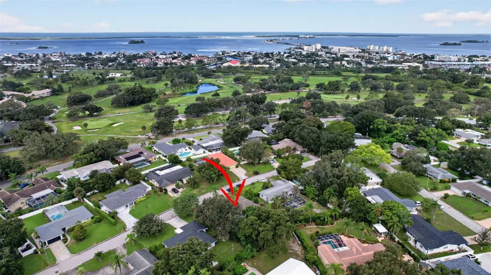 2225 SNEAD AVENUE Dunedin, FL 34698