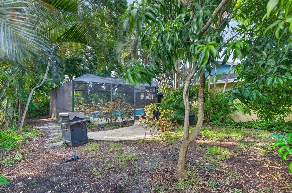 2225 SNEAD AVENUE Dunedin, FL 34698