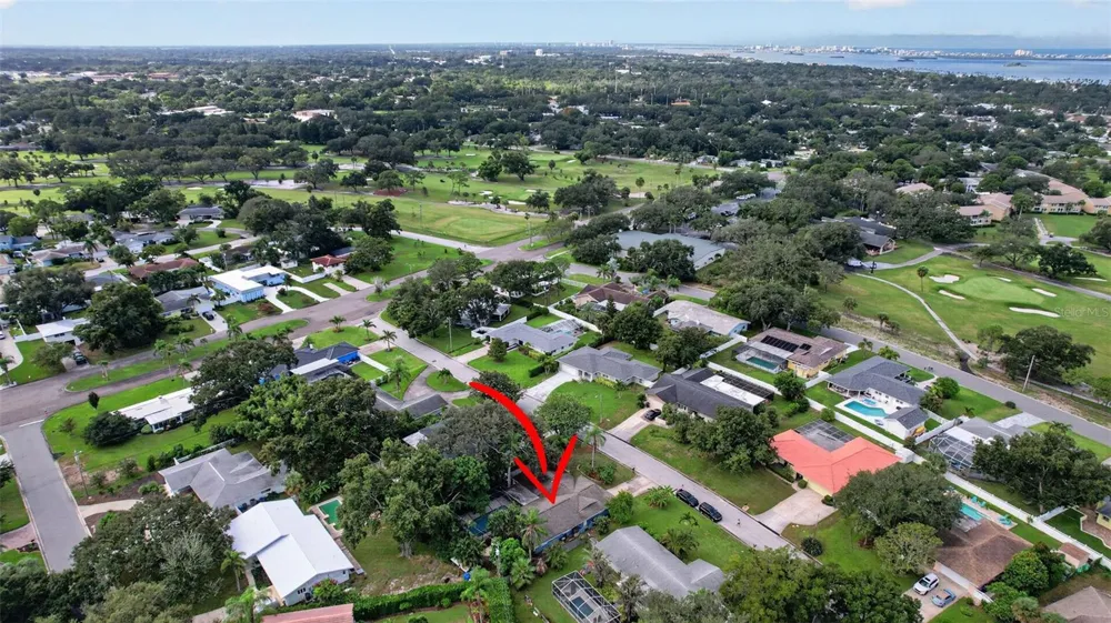2225 SNEAD AVENUE Dunedin, FL 34698