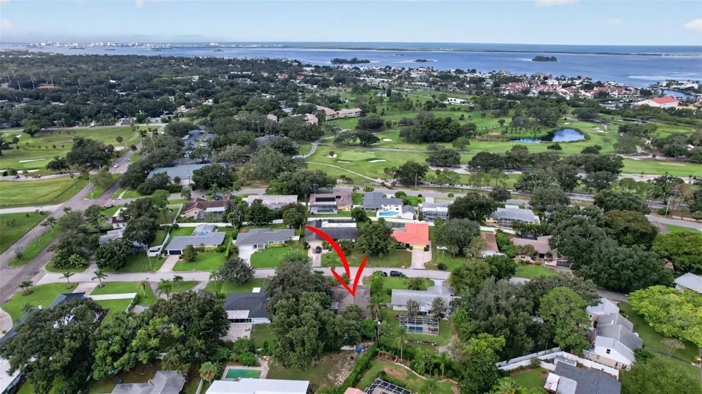 2225 SNEAD AVENUE Dunedin, FL 34698
