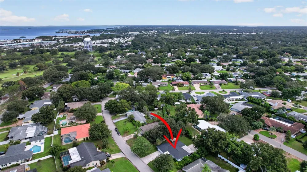 2225 SNEAD AVENUE Dunedin, FL 34698
