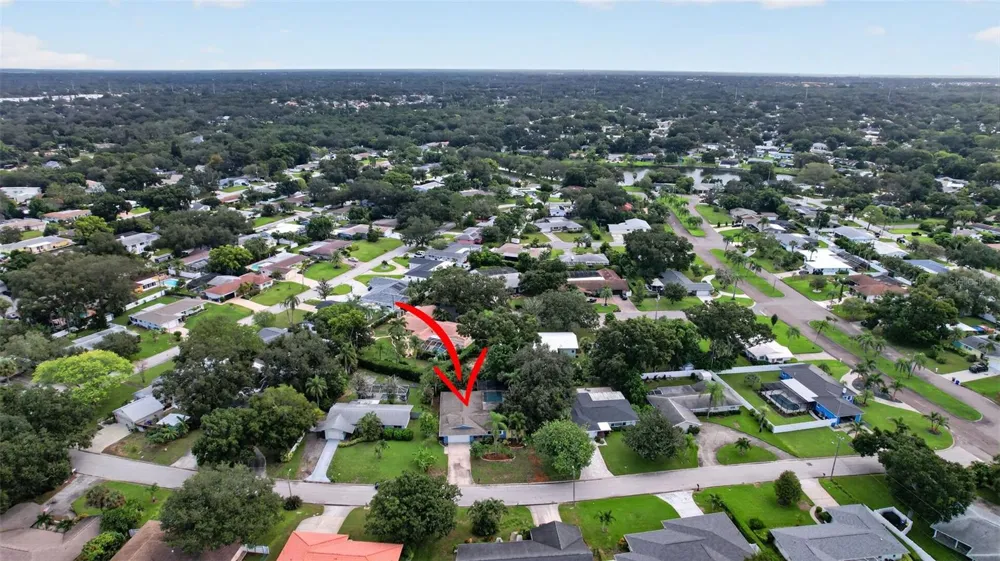 2225 SNEAD AVENUE Dunedin, FL 34698