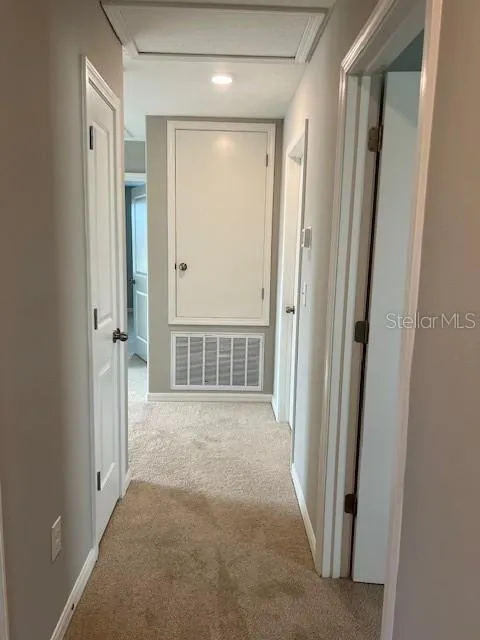 10220 HAPPY HEART AVENUE Riverview, FL 33578