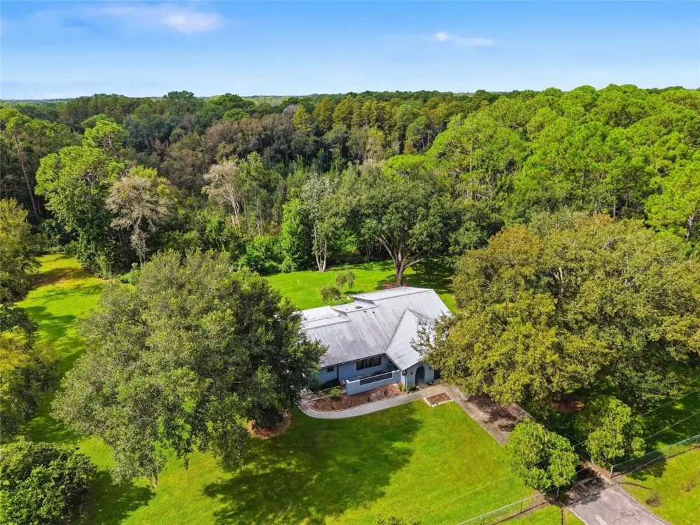 28434 SONNY DRIVE Wesley Chapel, FL 33544