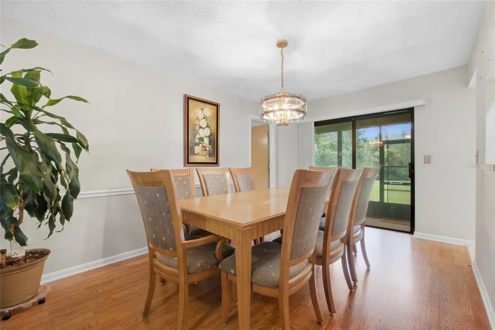 28434 SONNY DRIVE Wesley Chapel, FL 33544