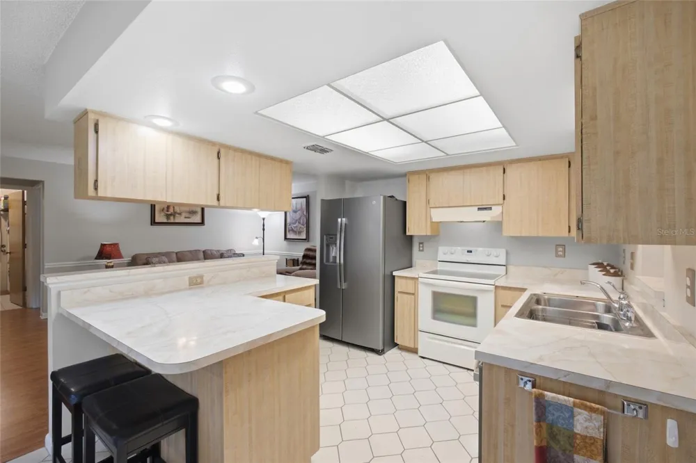 28434 SONNY DRIVE Wesley Chapel, FL 33544