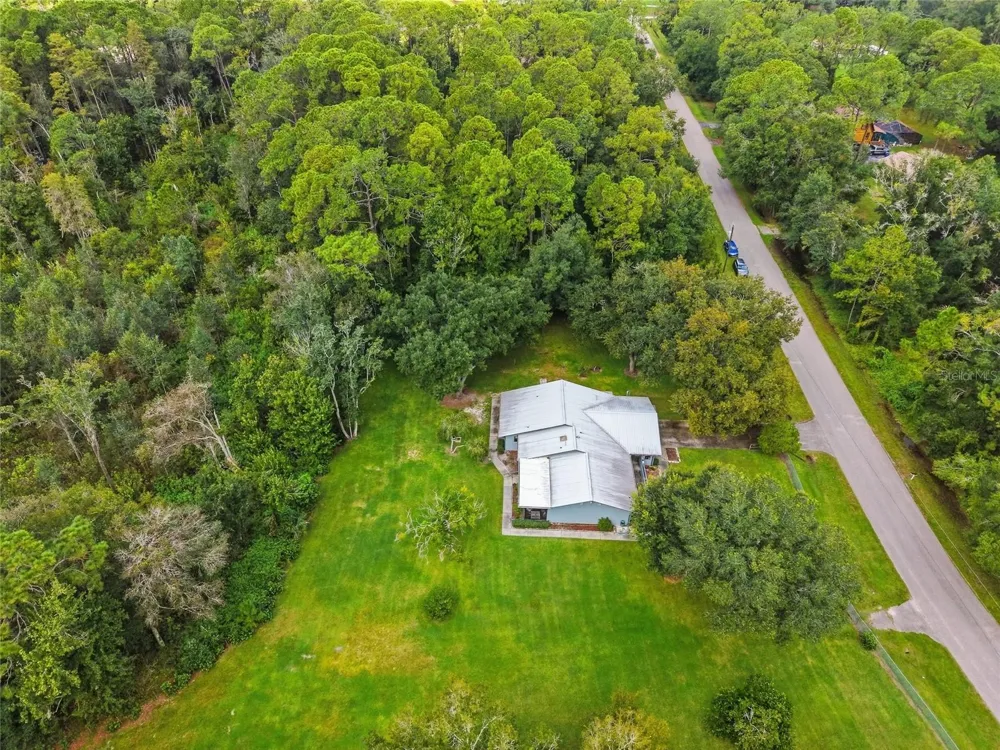 28434 SONNY DRIVE Wesley Chapel, FL 33544