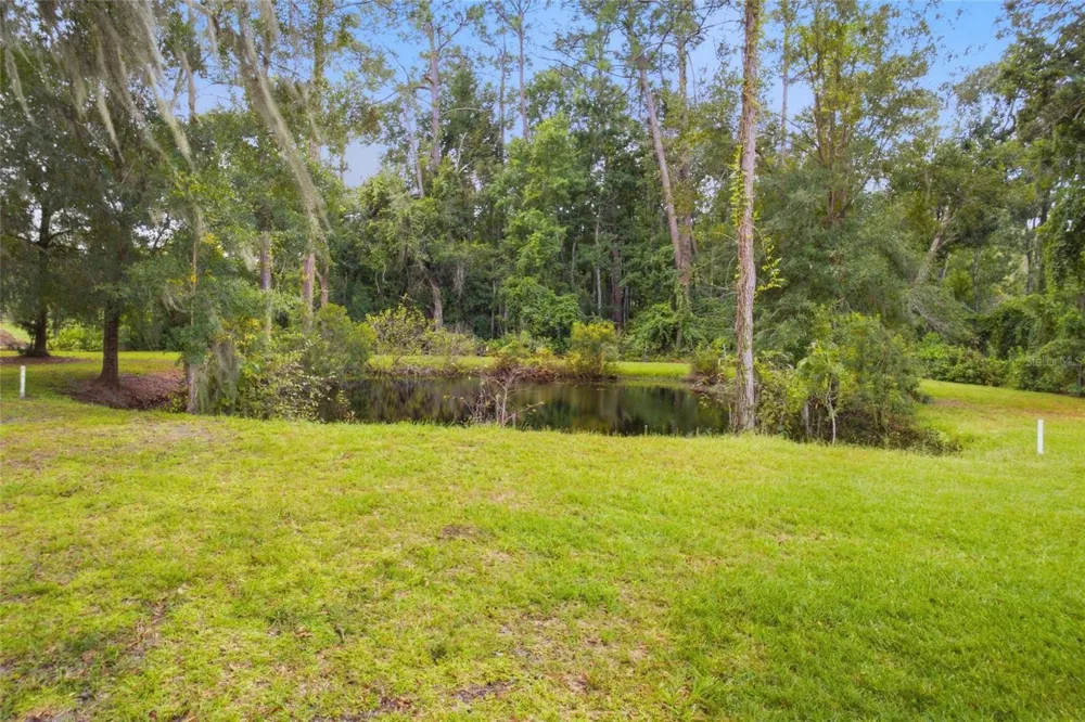 28434 SONNY DRIVE Wesley Chapel, FL 33544