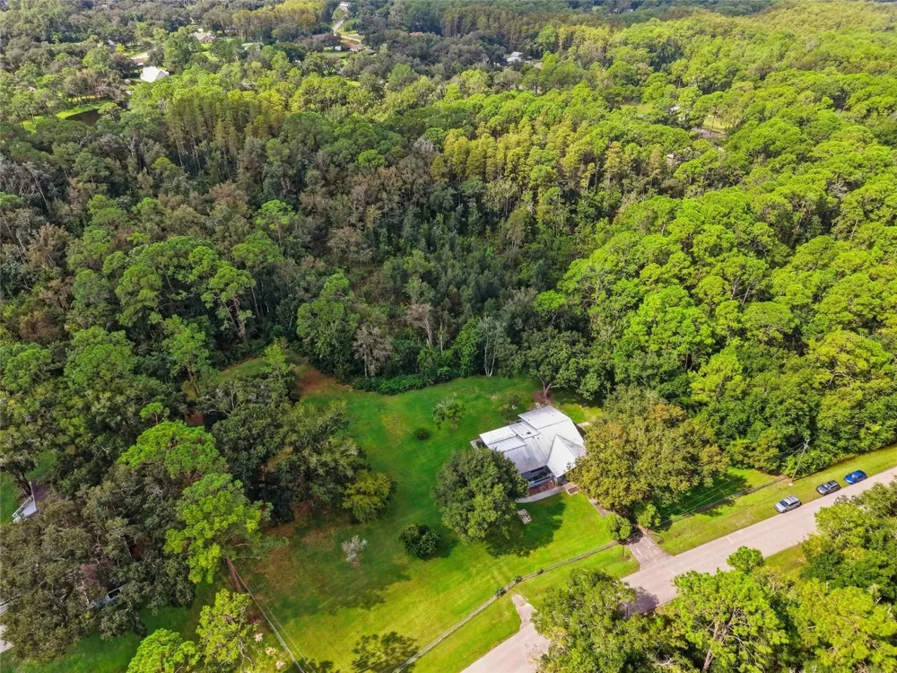 28434 SONNY DRIVE Wesley Chapel, FL 33544