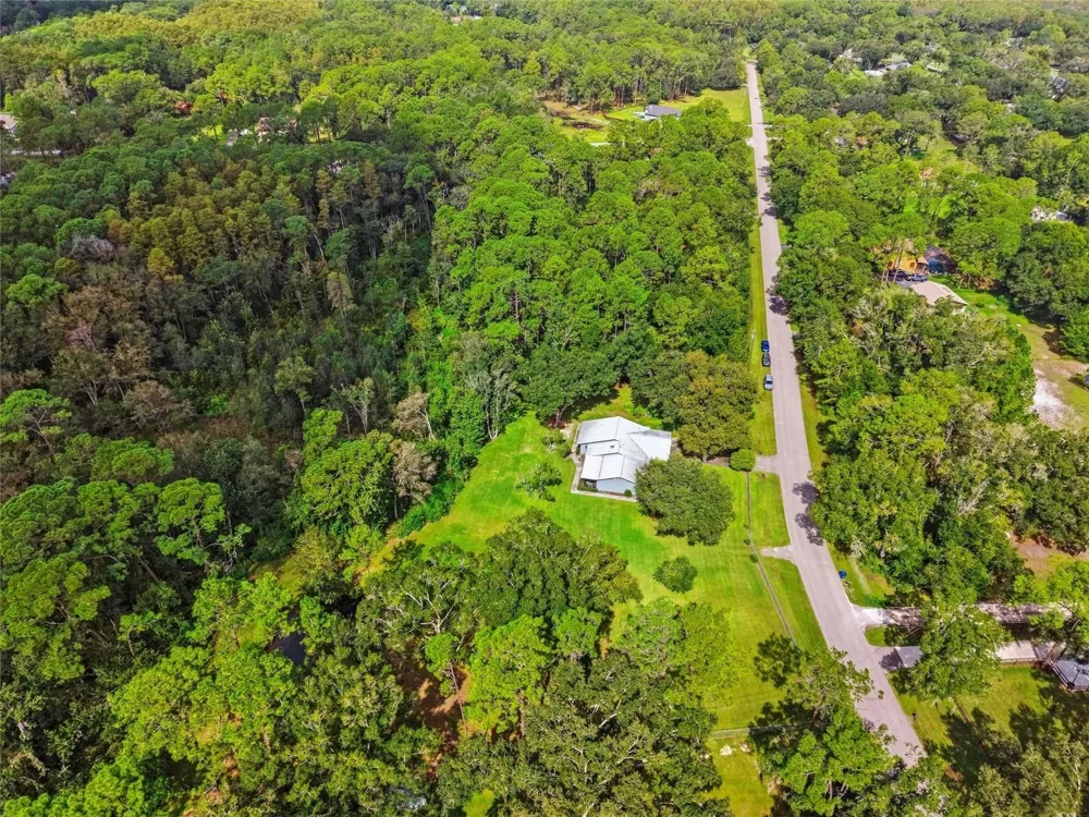 28434 SONNY DRIVE Wesley Chapel, FL 33544