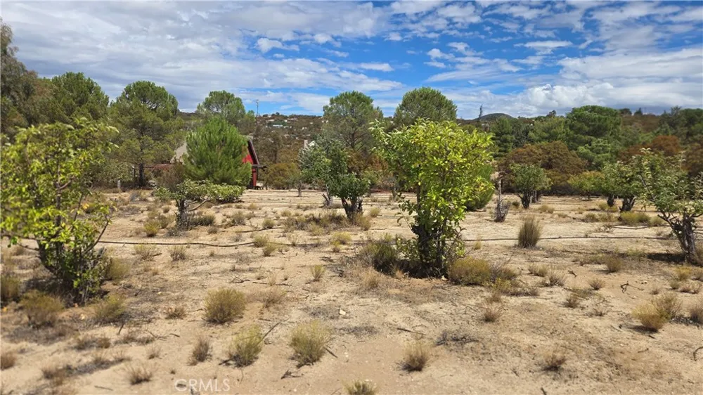 59441 Burnt Valley Road Anza, CA 92539