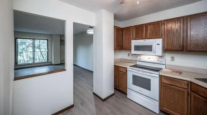 1111 Elway Street #203 Saint Paul, MN 55116