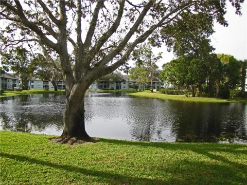 125 WADING BIRD CIRCLE #106