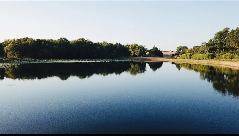 17311 Hwy 82 E Honey Grove, TX 75446