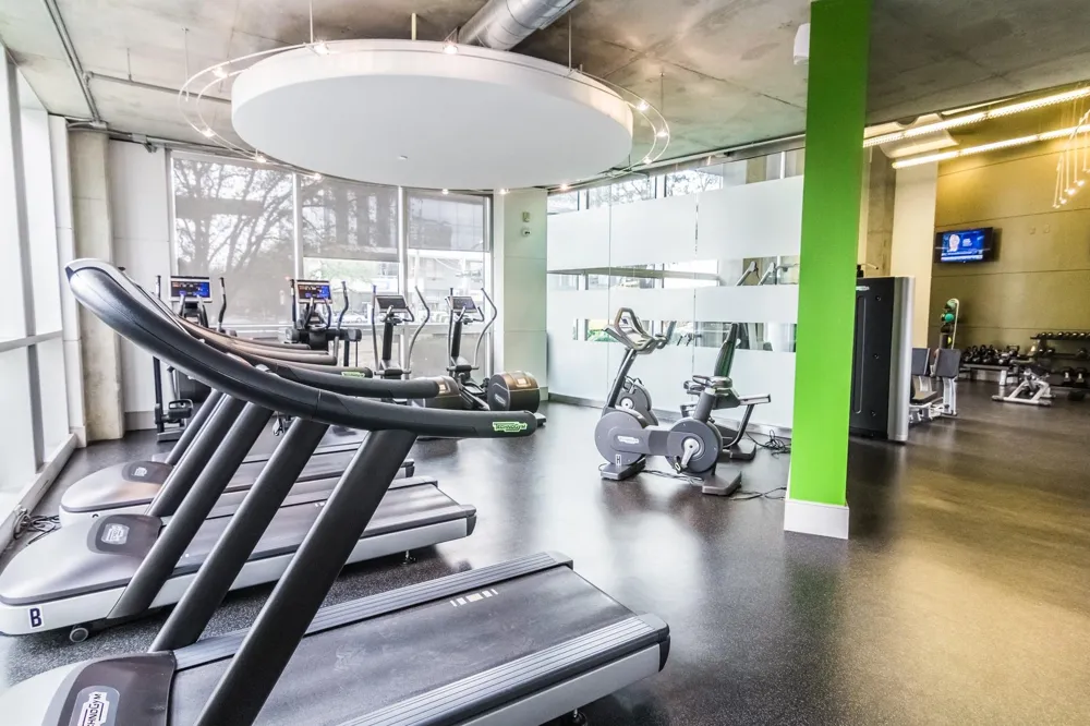 1901 Post Oak Boulevard #1219 Houston, TX 77056