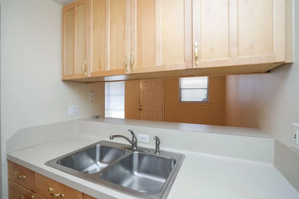 1620 Hawthorne Street #1 Houston, TX 77006