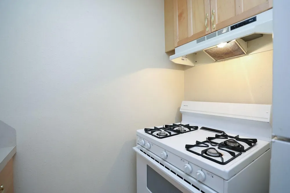 1620 Hawthorne Street #1 Houston, TX 77006