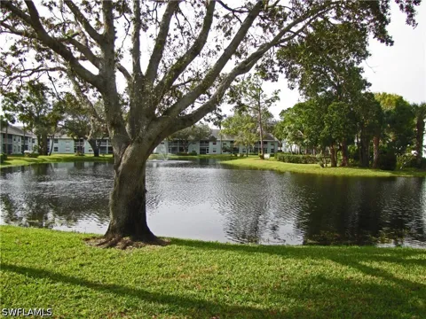 WADING BIRD CIRCLE #106