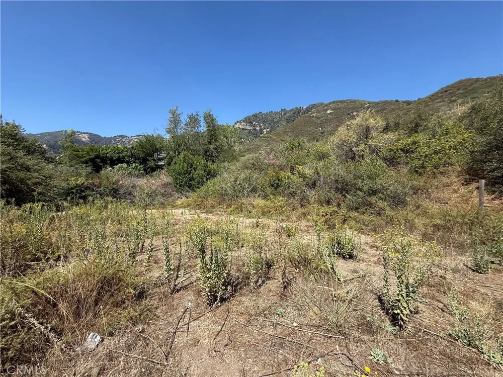 23680 Hillview Road San Bernardino, CA 92404