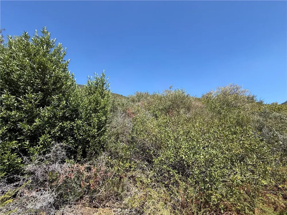 23680 Hillview Road San Bernardino, CA 92404