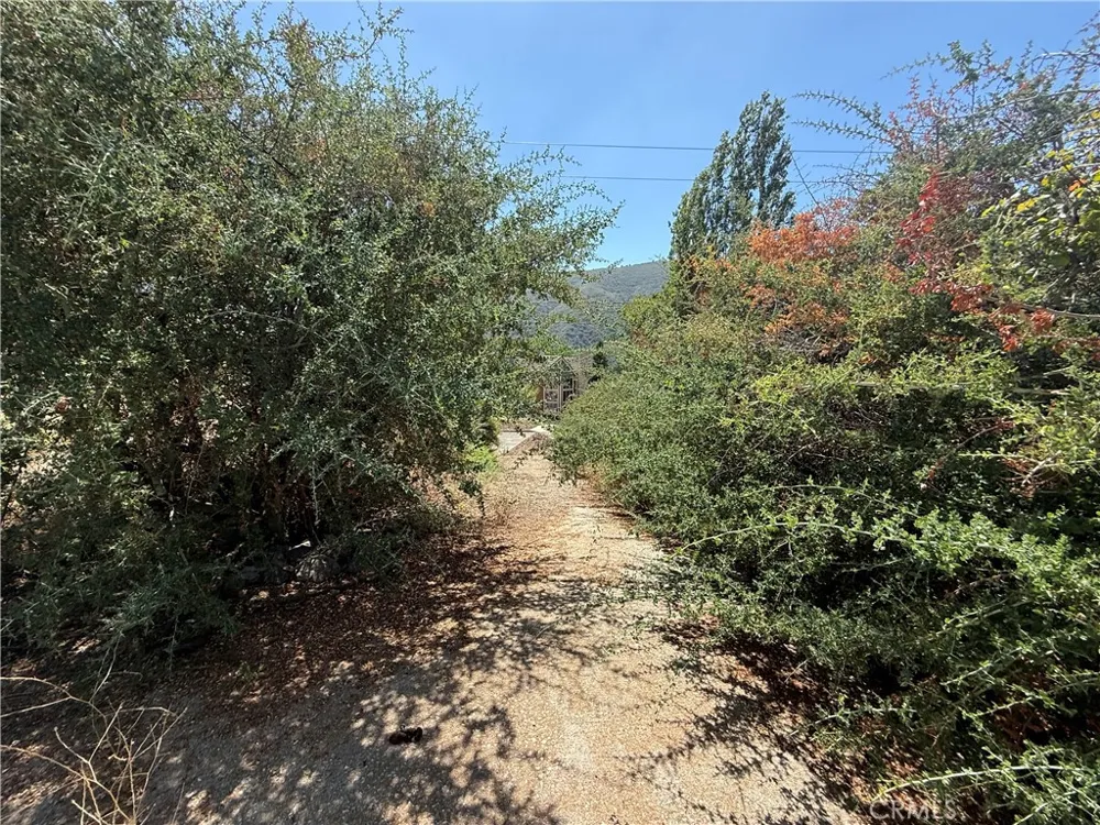 23680 Hillview Road San Bernardino, CA 92404