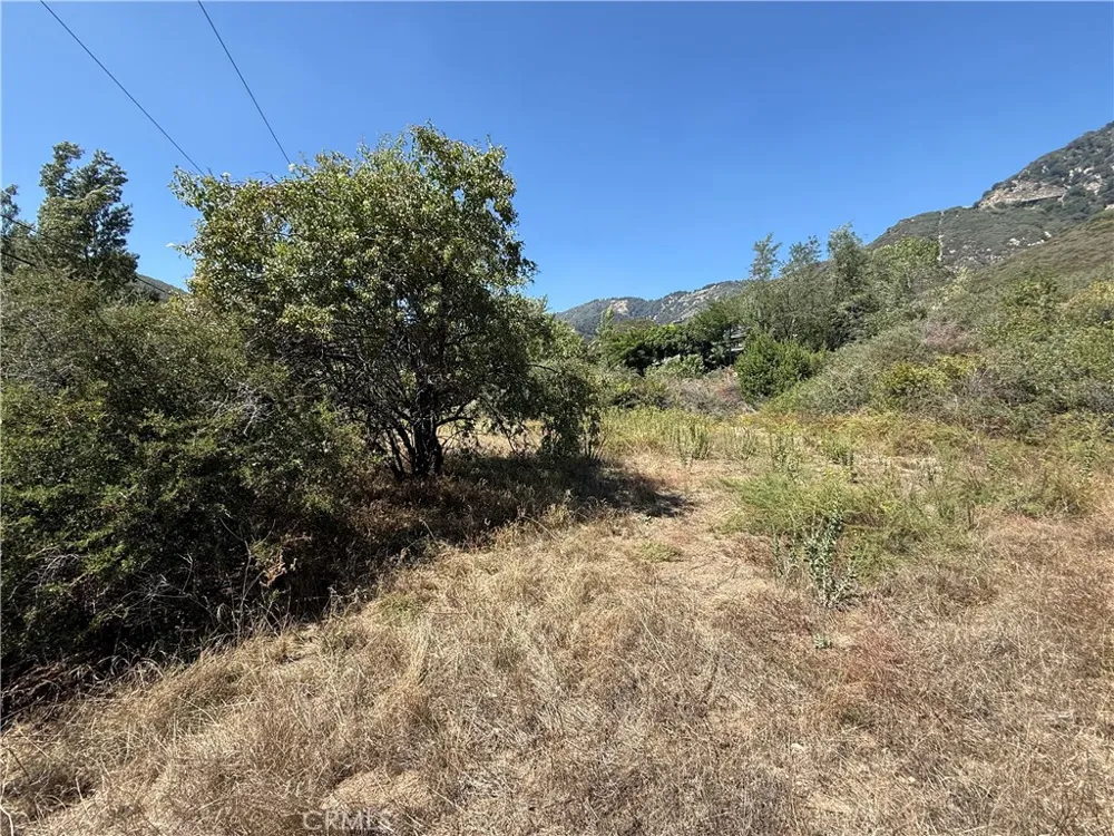 23680 Hillview Road San Bernardino, CA 92404