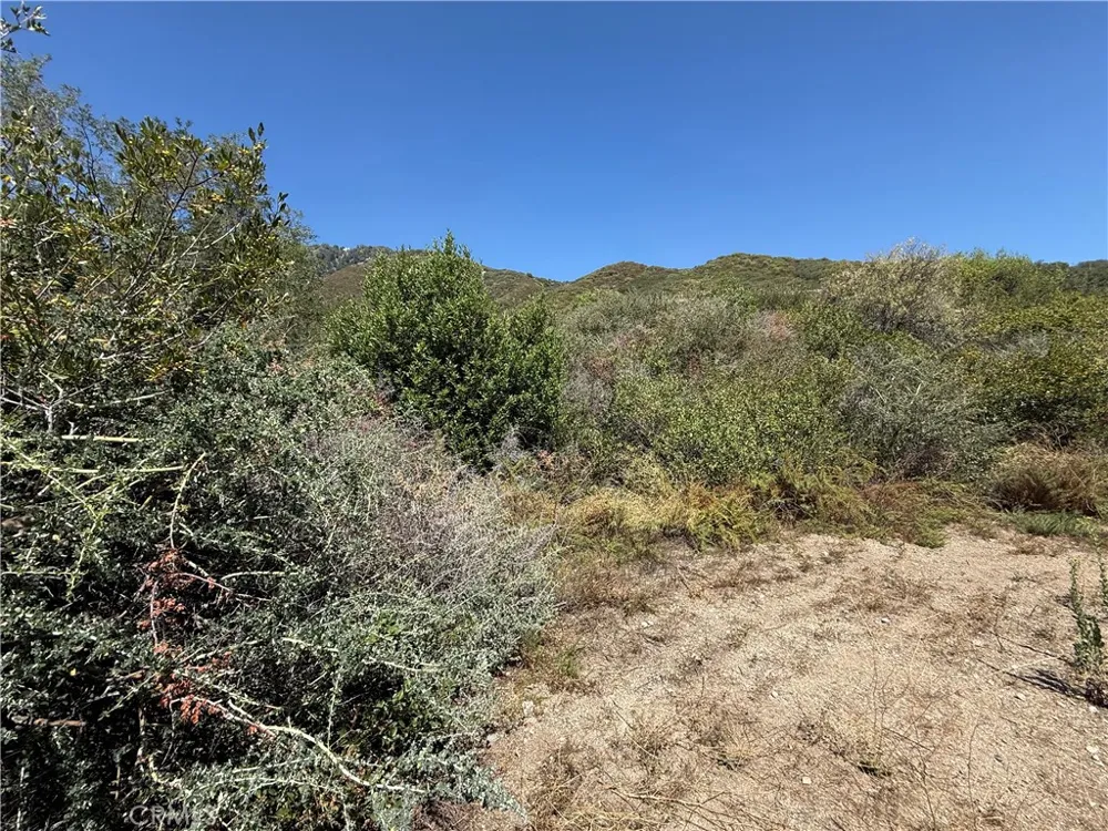 23680 Hillview Road San Bernardino, CA 92404
