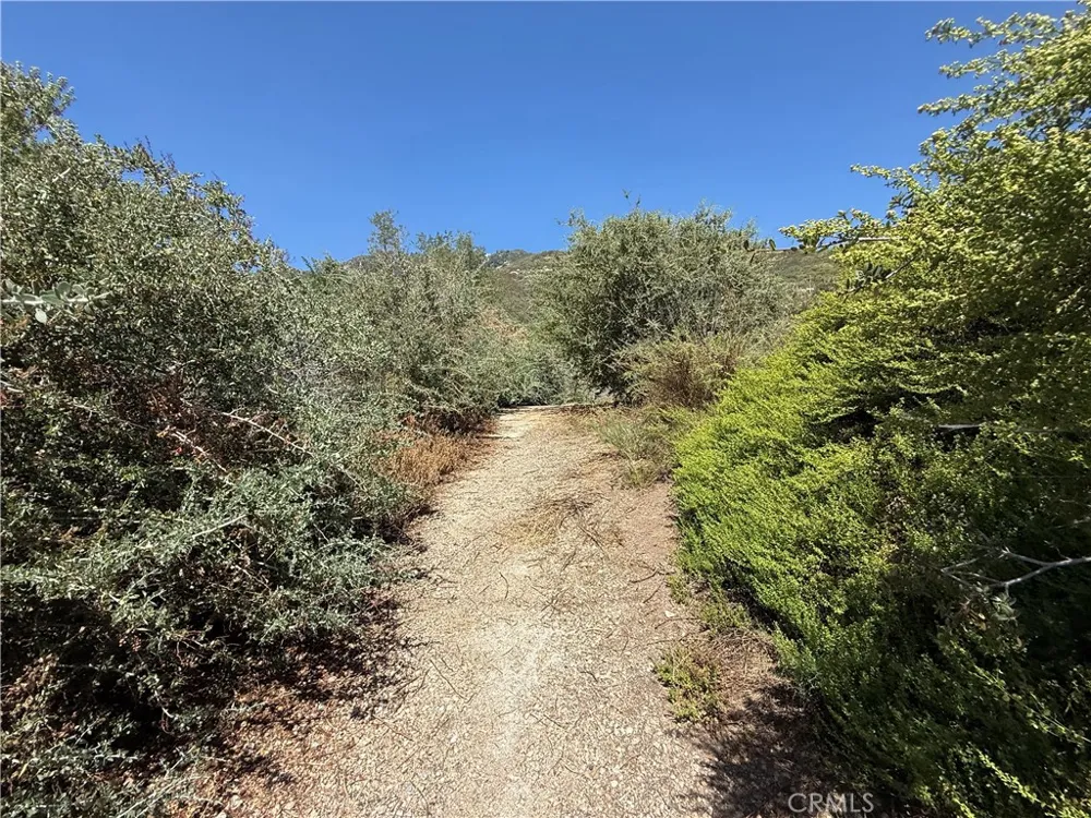 23680 Hillview Road San Bernardino, CA 92404