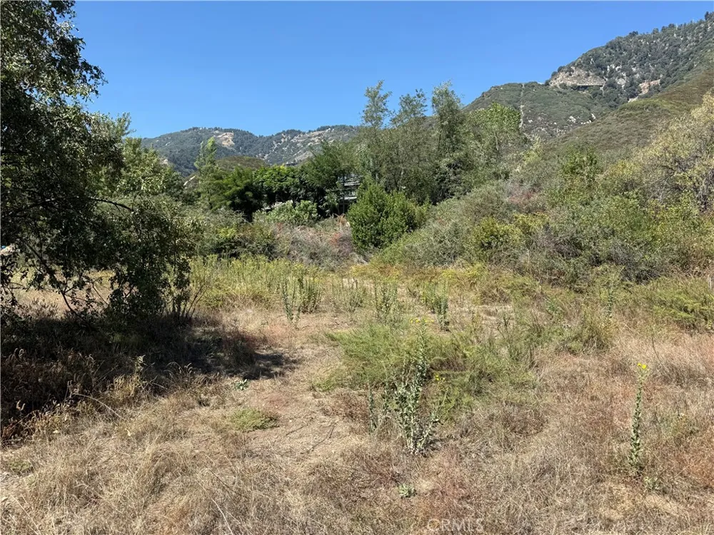 23680 Hillview Road San Bernardino, CA 92404